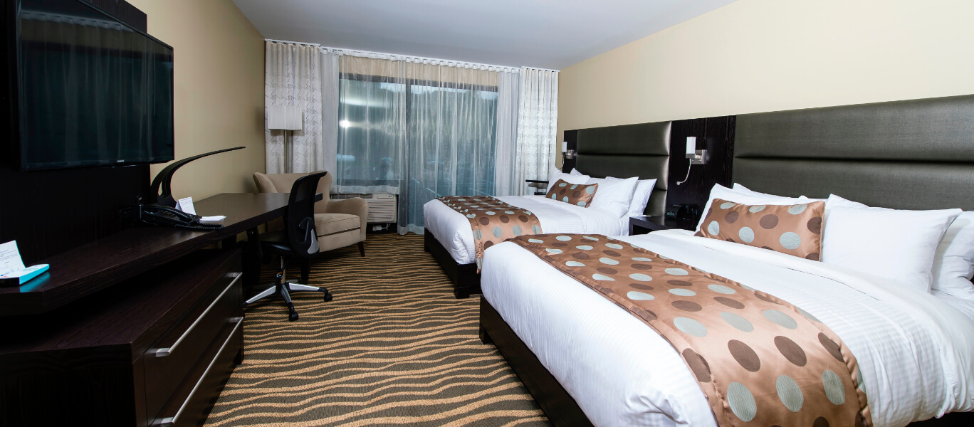 Terra Rooms 2 beds